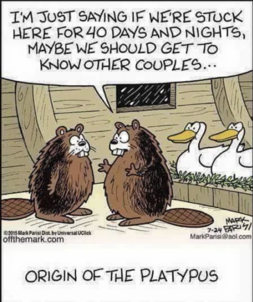 origin of the platypus funny - I'M Just Saying If We'Re Stuck Here For 40 Days And Nights, Maybe We Should Get To Know Other Couples... Mark Parisi Dist. by Universal UClick offthemark.com Mark 724 Fari MarkParisi.com Origin Of The Platypus